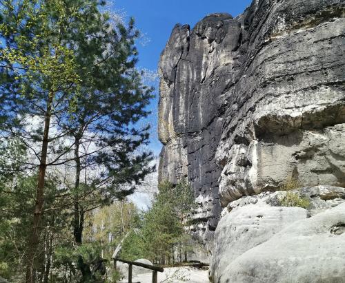 a large rock wall next to some trees at Urlaub im 200 Jahre alten Fachwerkhaus in Lichtenhain