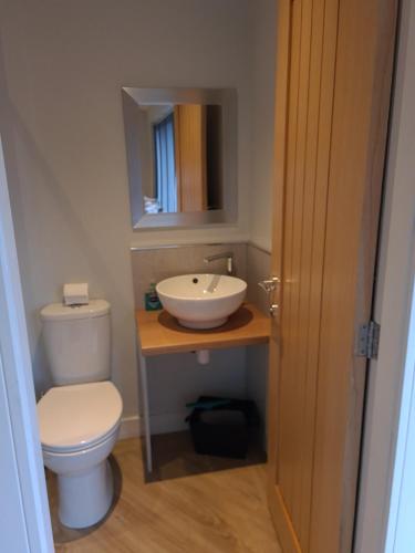 a bathroom with a white toilet and a sink at Dean Clough Lodge - Contemporary self contained studio in Wilpshire