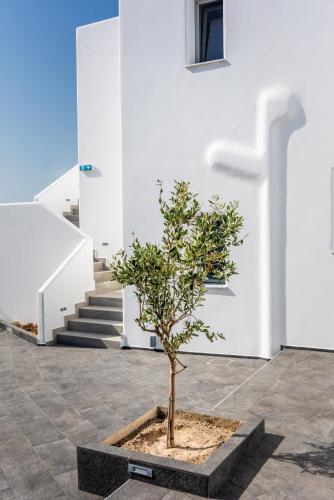 a tree in a planter in front of a building at Olea Bay Hotel in Adamas