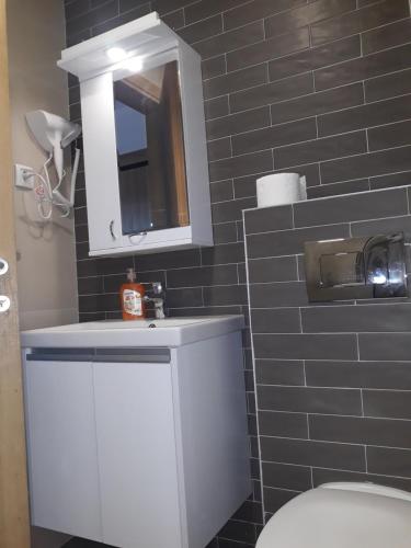 Koupelna v ubytování Apartman Stašenka