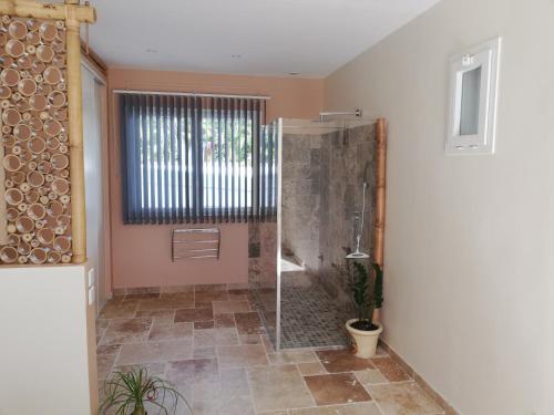 a bathroom with a shower with a glass door at Villa BELLE VUE, CHAMBRE BAMBOUS in Ravine des Cabris