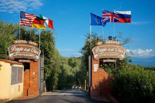 a flag pole with flags on top of it at Poggio Degli Olivi in Monsummano Terme