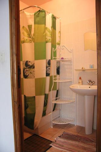 une salle de bain avec un rideau de douche et un lavabo dans l'établissement Chambre d'Hôte 