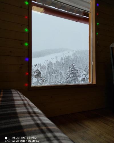 a room with a window with christmas lights at Andrića Sokak 2 in Divčibare