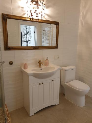 a bathroom with a sink and a toilet and a mirror at Skuodo IIB in Kaunas