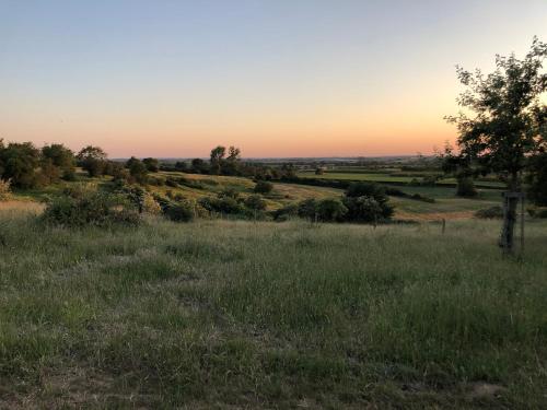 a field of grass with the sunset in the background at Le fond d'Or in Borgloon