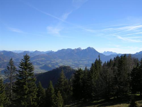 a view of a mountain range with trees in the foreground at Ferienhof Kreilgut in Rossleithen