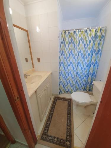 a bathroom with a toilet and a sink and a shower at Cabañas Mulpun in Licán Ray