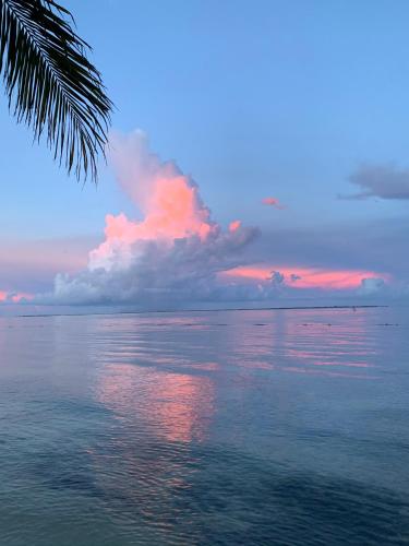 a sunset over the ocean with a pink at The Quetzal in Cancún