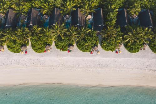 Landskap semula jadi dekat dengan resort
