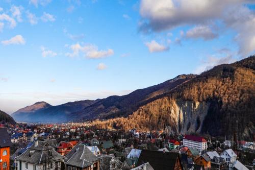 a view of a city with mountains in the background at Карпатська Вершина in Yaremche