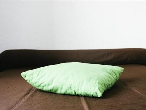 a green pillow sitting on a brown couch at Hôtel Restaurant Le Lion d'Or in Meximieux