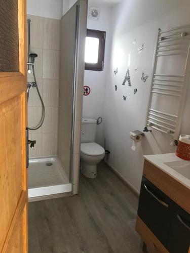 a bathroom with a toilet and a shower and a sink at Casute la munte in Râşnov