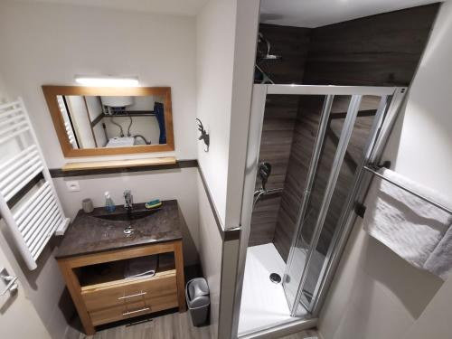une salle de bain avec un lavabo et une douche avec un miroir dans l'établissement Le Mallory, à Chamonix-Mont-Blanc