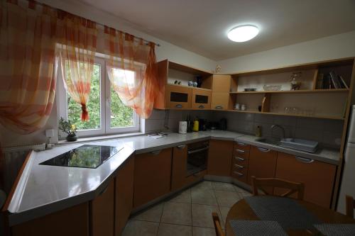 Una cocina o zona de cocina en Apartment Cvjetna