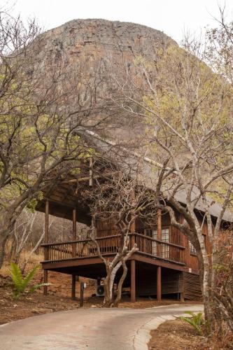 a log cabin with a mountain in the background at Amafu Forest Lodge in Hoedspruit