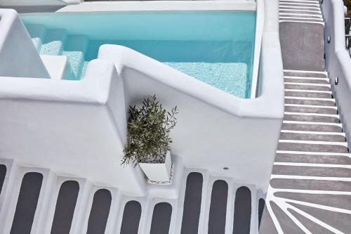 a swimming pool with a potted plant on the side at Charisma Suites in Oia