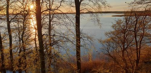 a view of a body of water with trees at Ferienwohnungen Stranddistel - Apartments von 30 bis 75 qm in Zinnowitz
