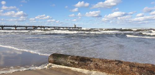 a view of the beach with a pier in the water at Ferienwohnungen Stranddistel - Apartments von 30 bis 75 qm in Zinnowitz