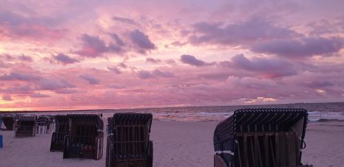 a row of beach chairs on the beach at sunset at Ferienwohnungen Stranddistel - Apartments von 30 bis 75 qm in Zinnowitz