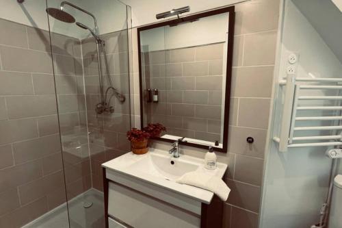 a bathroom with a sink and a shower at Le Yellow Corner Voironnais in Voiron