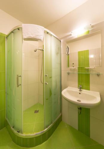 a bathroom with a sink and a glass shower at Penzion Mušlov in Mikulov
