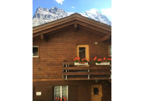 Ảnh trong thư viện ảnh của Chalet Altenhaus ở Grindelwald