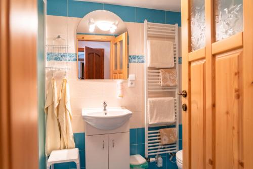 małą łazienkę z umywalką i lustrem. w obiekcie Penzion U sv. Jana - Kraselovský Dvůr w mieście Kraselov