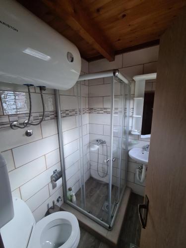 a bathroom with a shower and a toilet and a sink at Apartments Homeland in Kolašin