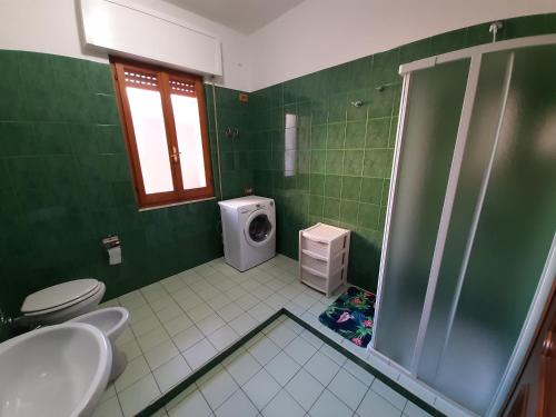 a green bathroom with a toilet and a shower at Appartamento il tulipano in Assemini