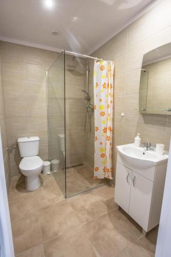 a bathroom with a shower and a toilet and a sink at Apartamenty Ster Darłówko in Darlowko