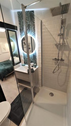 une salle de bain avec douche, toilettes et miroir dans l'établissement Home&Work301 - HYPERCENTRE - fibre et parking à proximité, à Niort