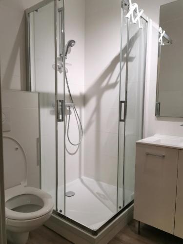 une salle de bain avec douche et toilettes dans l'établissement plaisirs de savoie, à Aix-les-Bains