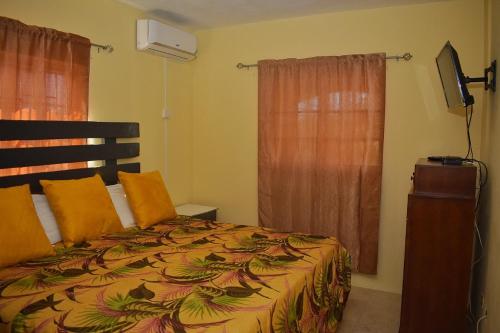 a bedroom with a bed and a television and a window at Unity Villa Near Montego Bay and Beaches free WiFi 2bedrooms in Montego Bay