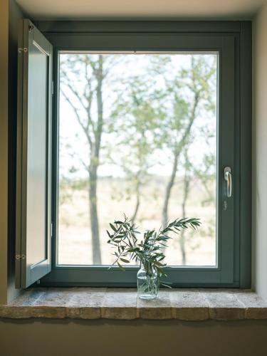 a plant in a vase sitting on a window sill at Casale Tre Gelsi in Cingoli