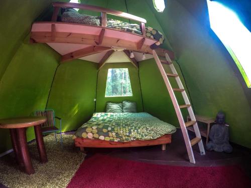 sypialnia z łóżkiem piętrowym w pokoju zielonym w obiekcie Les Bulles de la Maison du Rocher w mieście Noisy-sur-École