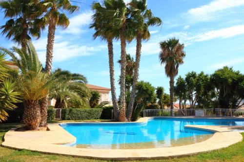 een zwembad met palmbomen op de achtergrond bij Casa El Oasis in Calpe