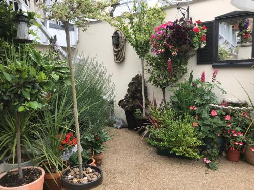 a garden with potted plants on the side of a house at The Chatsworth in Weymouth