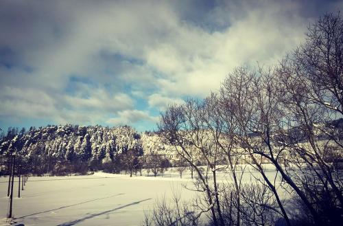 a snow covered field with trees and a mountain at Apartmán Ivko in Letohrad