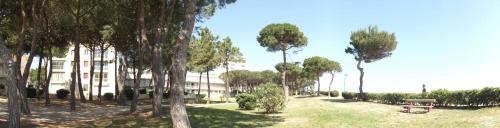 un parque con árboles, un edificio y un banco en Le BELVEDERE 2 - Acces Direct Plage en Argelès-sur-Mer