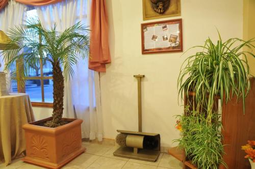 a room with two potted plants and a window at Hotel Salerno in Villa Carlos Paz