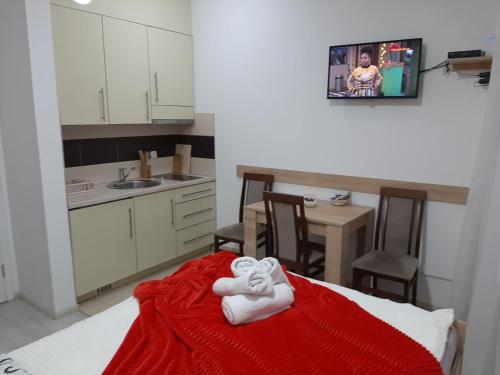 uma cozinha com um cobertor vermelho numa cama em Andora em Banja Koviljača