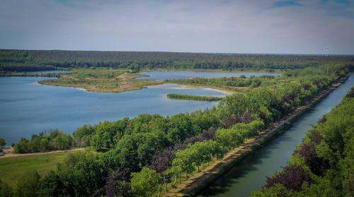 an aerial view of a river with trees and water at Villa van Brienen - Studio in Dilsen-Stokkem
