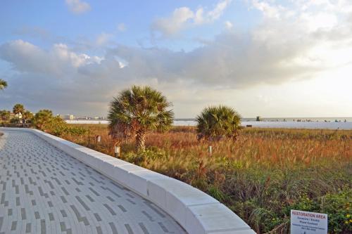 a walkway next to a field with palm trees at Siesta Heron Suites & Villas in Siesta Key