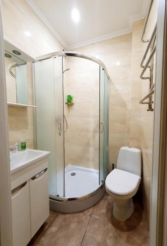a bathroom with a shower and a toilet and a sink at Homey apartment on Vicheva Str. in Lviv