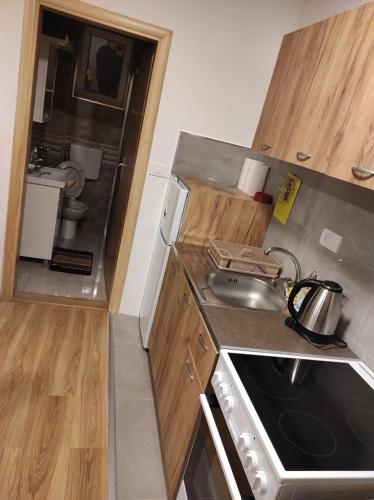 Kuchyň nebo kuchyňský kout v ubytování Vila Tutić Apartman 1 i Apartman 2