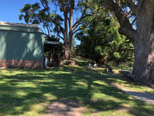 a yard with a tree and a building at Walsh Farm Farmstay in Milton