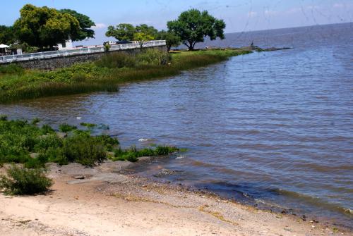 un cuerpo de agua con una orilla arenosa con árboles en Estudio Taller de Tejas Colonia, en Colonia del Sacramento