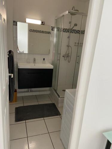 a bathroom with a shower and a sink and a mirror at F2 Lamentin in Le Lamentin