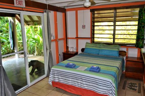 Un dormitorio con una cama y un perro mirando por la ventana en Hummingbird Rest a fully equipped cabana in subtropic garden en San Ignacio